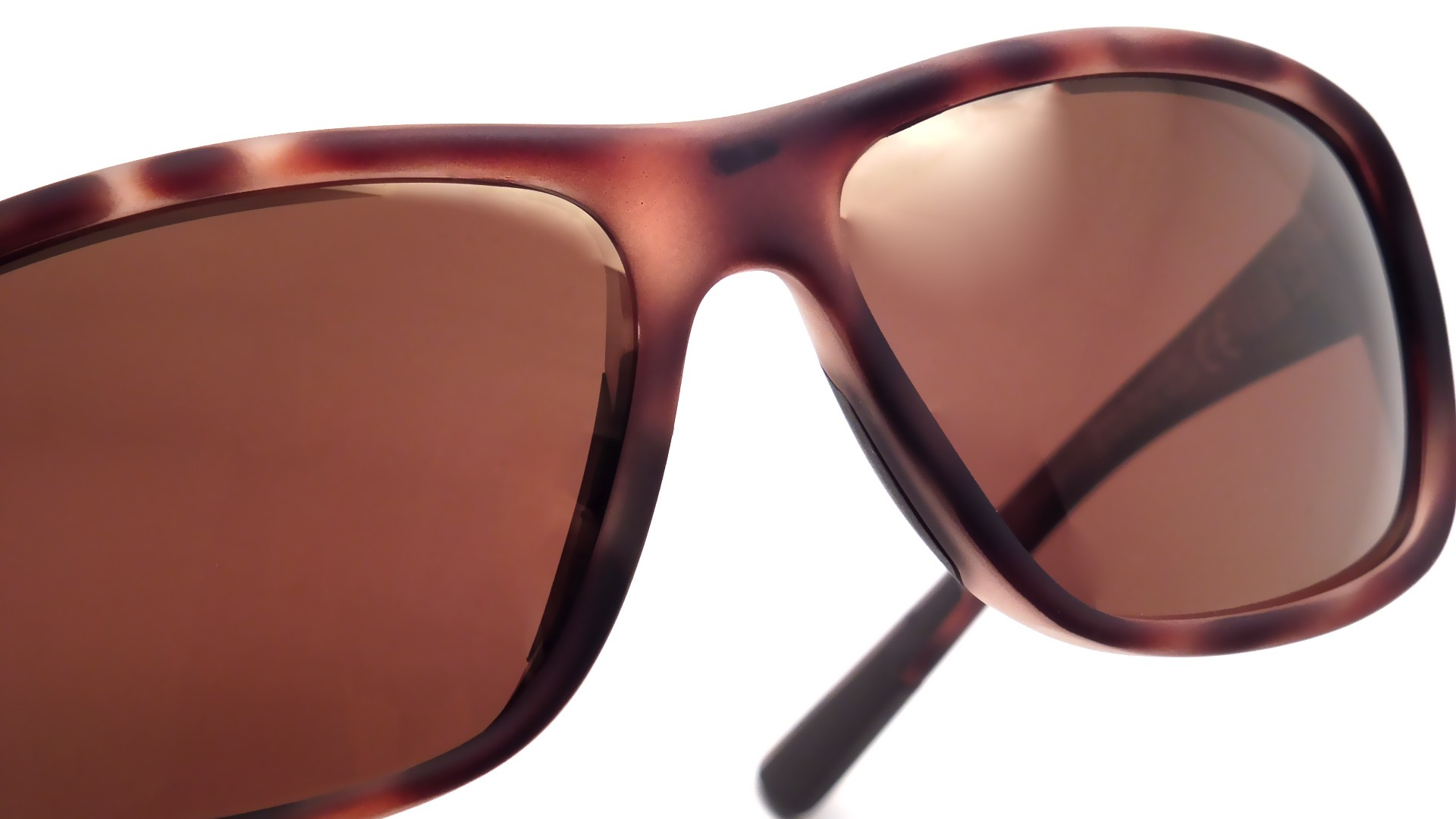 maui jim navigator tortoise
